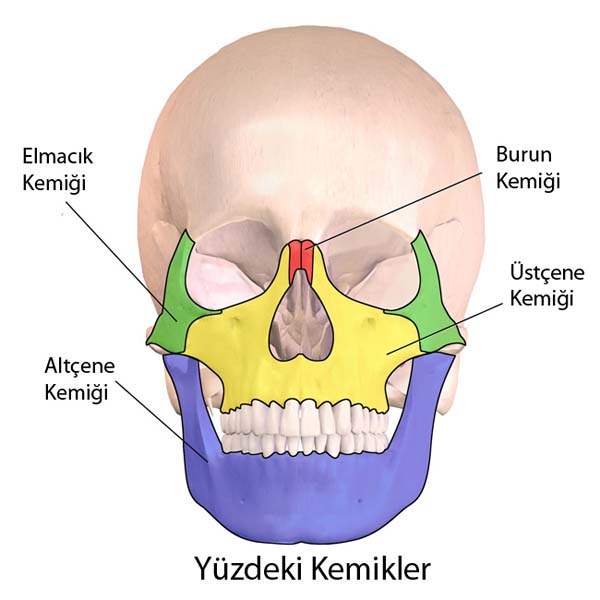 Trigeminal Nevralji (Yüz Sinir Ağrısı)