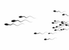 Menide Kan Menide Kan