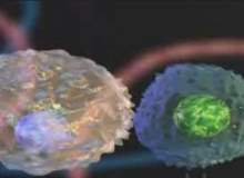 Alerjiniz varsa astımı nasıl engellersiniz? Alerjiniz varsa astımı nasıl engellersiniz?