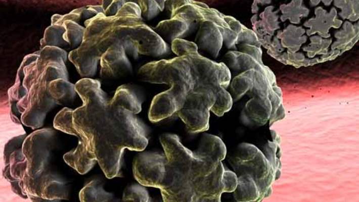 Papilloma (Hpv) Aşısı: Şimdi Neyi Bilmeniz Gerekiyor?