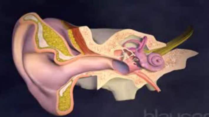 Orta Kulak İltihabı