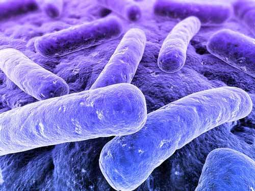 MRSA Enfeksiyonları