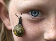 Çocukluktaki Yaygın Cilt Sorunları Çocukluktaki Yaygın Cilt Sorunları