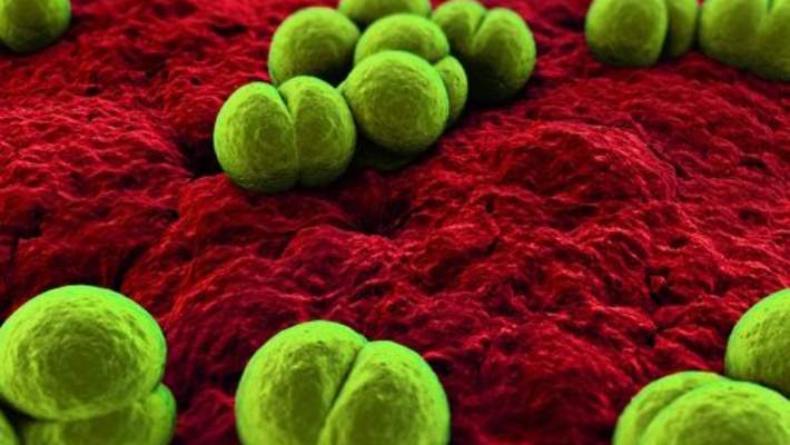 Menenjiti Önleyin: Genç Çocuğunuzu Koruma Yolları