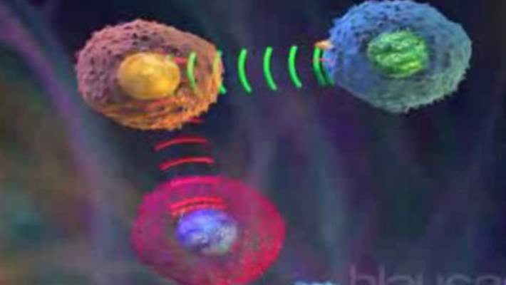 Ms Saldırıya Geçtiğinde