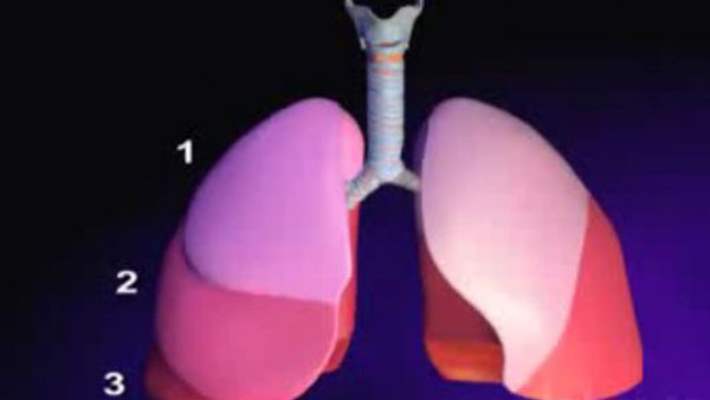 Sağlıkla İlgili Yanlış Kanılar: Gerçekleri Öğrenin