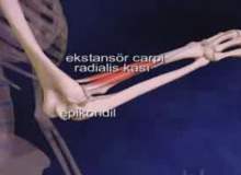Tenisçi Dirseği Bandı Tenisçi Dirseği Bandı