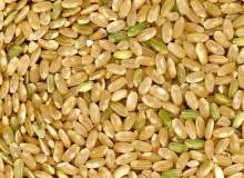 Makrobiyotik Diyet Makrobiyotik Diyet