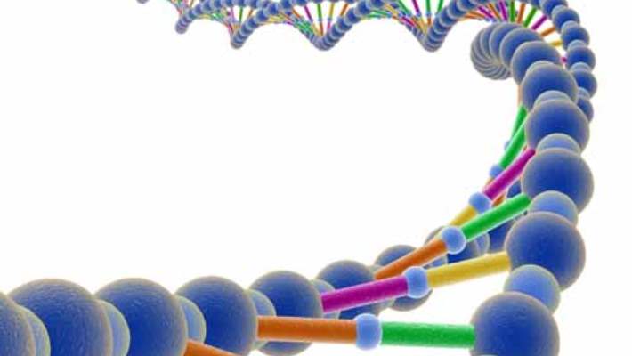 Ultra Metabolizma Otomatik Kilo Kaybetme Programı