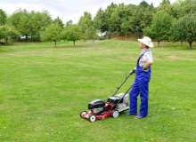 Sporotrikoz Sporotrikoz