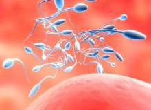 Servikal Kep Servikal Kep