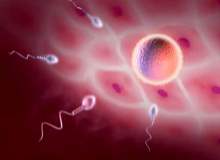 Servikal Mukus Yöntemi Servikal Mukus Yöntemi