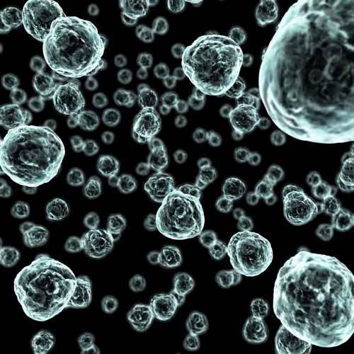 Gribin Önlenmesi: Doktorlar Mikropları Nasıl Uzaklaştırırlar