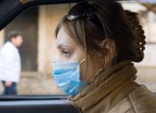 Domuz Gribi Domuz Gribi