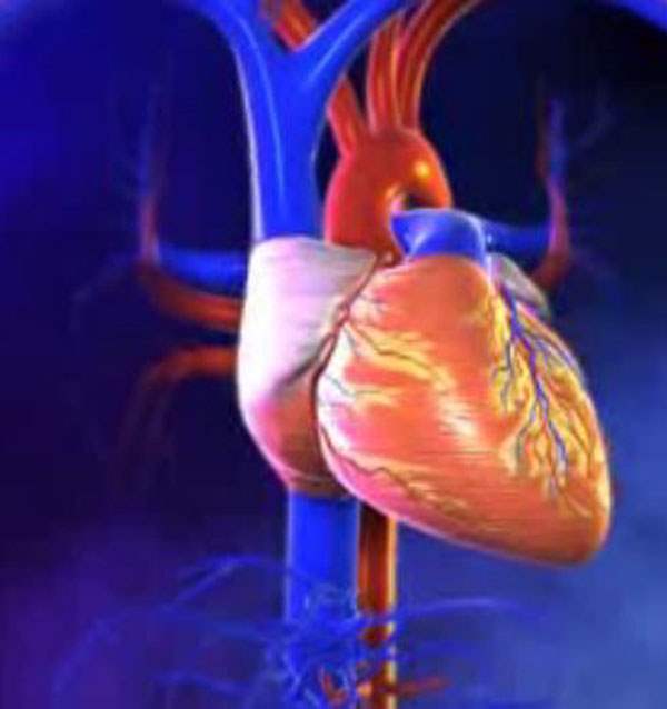 Kalp Hastalıkları ve Marfan Sendromu Hemen Sağlık