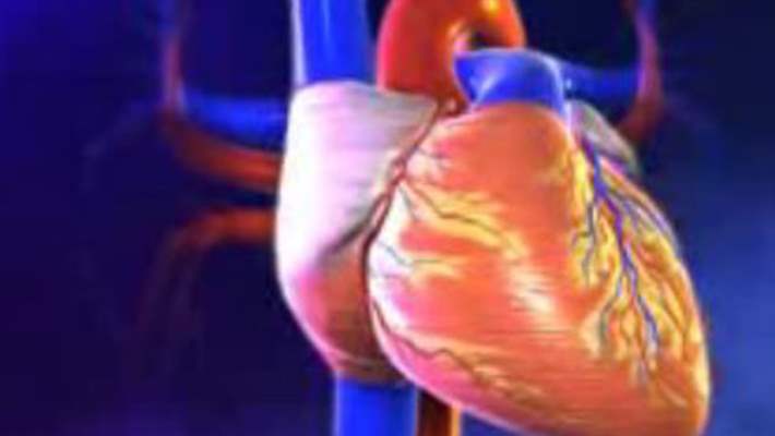 Kalp Hastalıkları Ve Marfan Sendromu