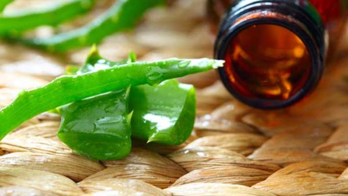 Aloe Veranın Cilt Bakımındaki Büyüsünü Öğrenin