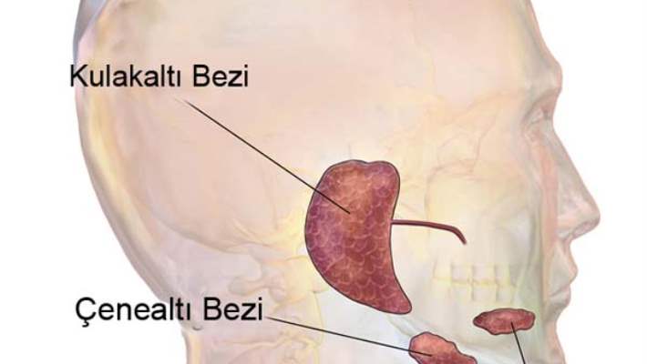 Tükürük Bezi Sorunları