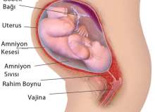 Kürtaja Genel Bakış