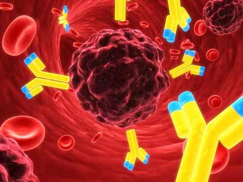 Melanomun Belirtileri ve Semptomları Nelerdir?