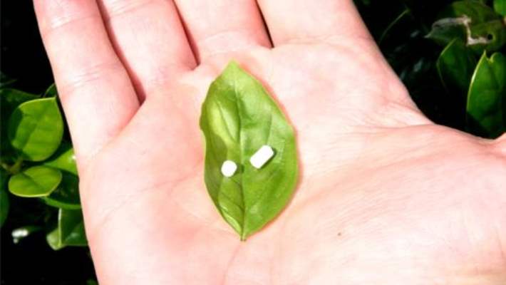 Eller Neden Soyulur?