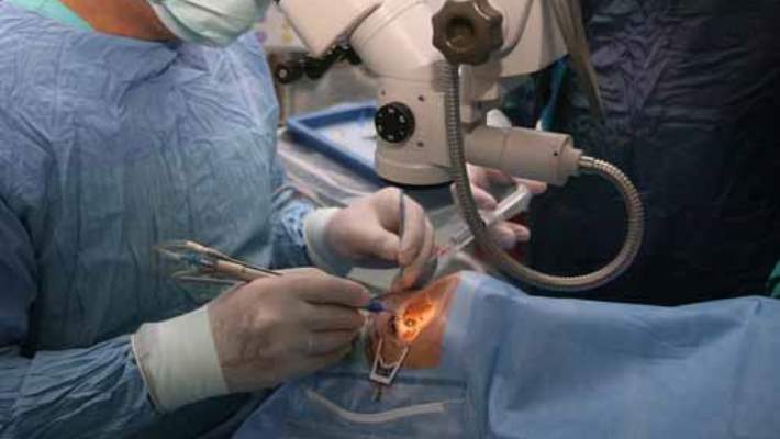 Retina Damar Hastalıkları