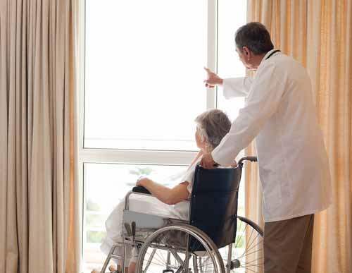 Parapleji