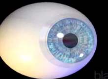 Cone-Rod Distrofi Cone-Rod Distrofi