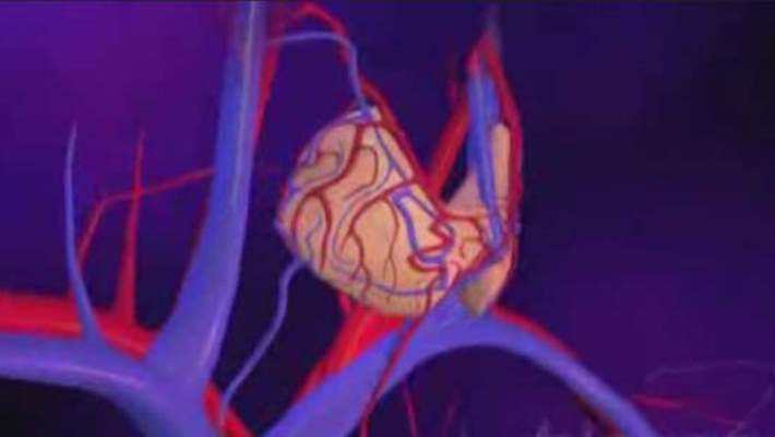 İyot Yetersizliği Hastalıkları