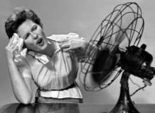 Menopozu Kolaylaştıran Bitkiler Menopozu Kolaylaştıran Bitkiler