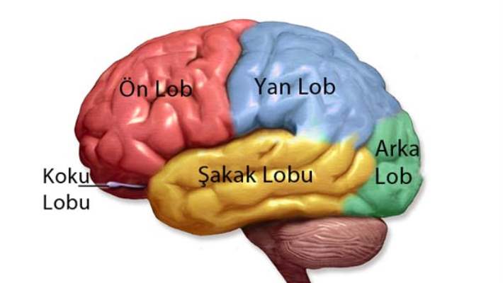 Santral Pontin Miyelinozis