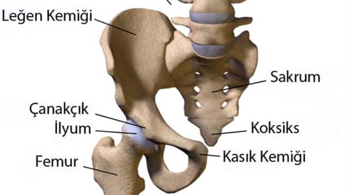 Kalça Sıkışma (İmpingement) Hastalığı