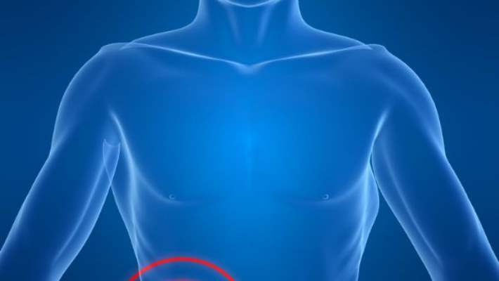 Böbrek Enfeksiyonu Ve Tedavisi