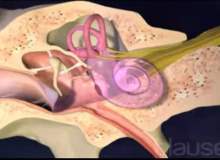 Kulak İltihabı ve Kulak Tüpü Ameliyatı