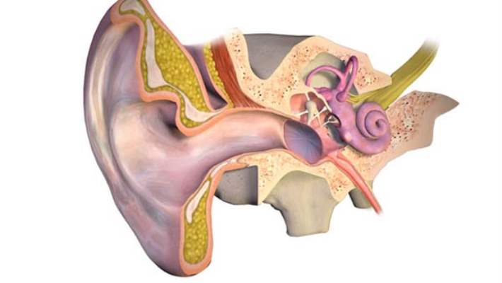 İç Kulağın Sebep Olduğu Baş Dönmeleri