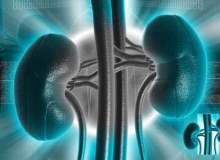 Böbrek Düşüklüğü Böbrek Düşüklüğü