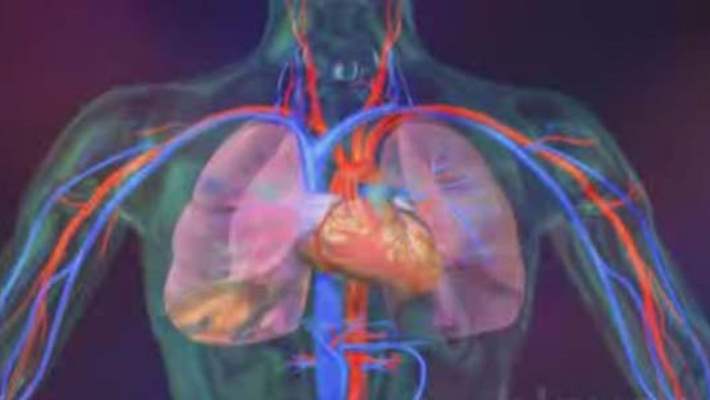 Kalp Dış Zarındaki Sıvı Birikimi