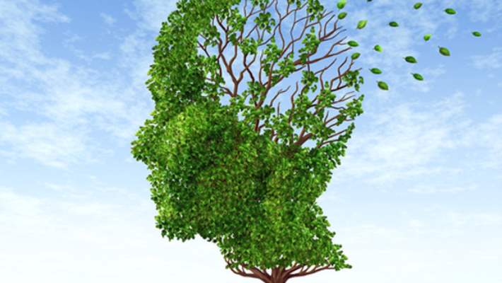 Alzheimer Hastalığını Önlemenin 30 Yolu