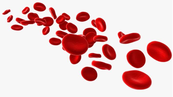 Anemi Hakkında Bilinmesi Gerekenler