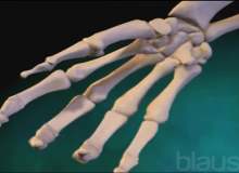 Romatoid artrit gelişimini önleyen aşı: Gebelik Romatoid artrit gelişimini önleyen aşı: Gebelik