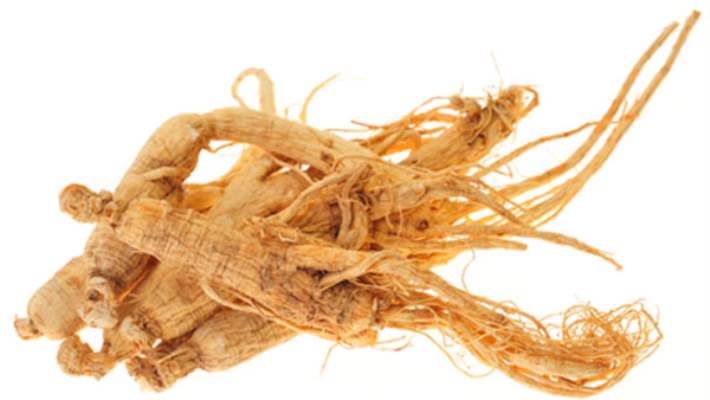 Ginseng Nedir?
