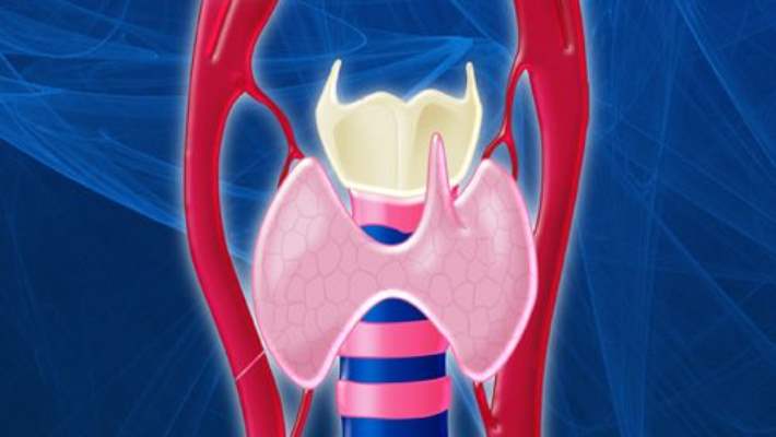 Tiroid Kanseri Ameliyatı Nasıl Yapılır?