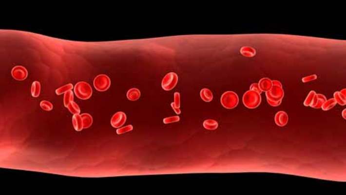 Platelet Nedir?