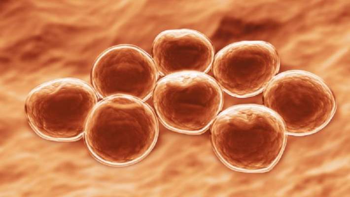 Farklı Bağışıklık Sistemi Hastalıkları Nelerdir?