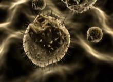 Endometrium Kanseri Tedavisinde Gelişme Endometrium Kanseri Tedavisinde Gelişme