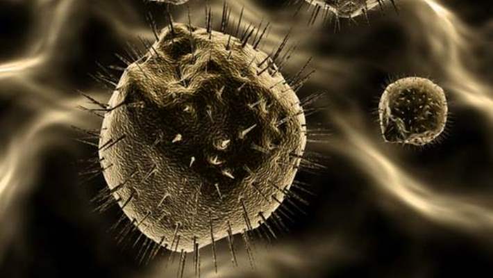 Kronik Lenfositik Lösemi Nasıl Tedavi Edilir?