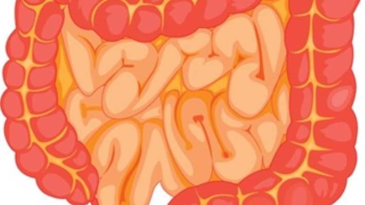 Hassas Bağırsak Sendromu Nasıl Tedavi Edilir?