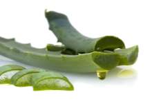 Aloe Vera Jeli Nasıl Yapılır ve Faydaları Nelerdir? Aloe Vera Jeli Nasıl Yapılır ve Faydaları Nelerdir?