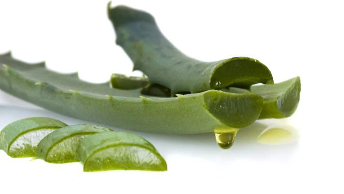 Aloe Vera Jeli Nasıl Yapılır Ve Faydaları Nelerdir?