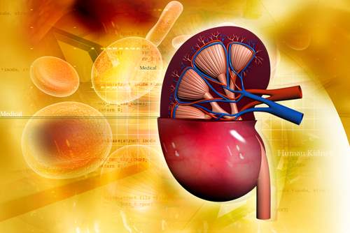 Böbreğini Bağışlayanlarda Metabolik Sendrom